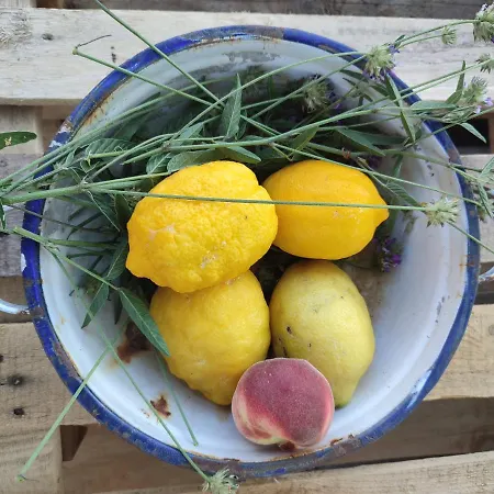 San Michele מלון לבנטו